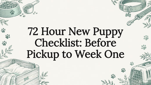 Decorative new puppy checklist illustration