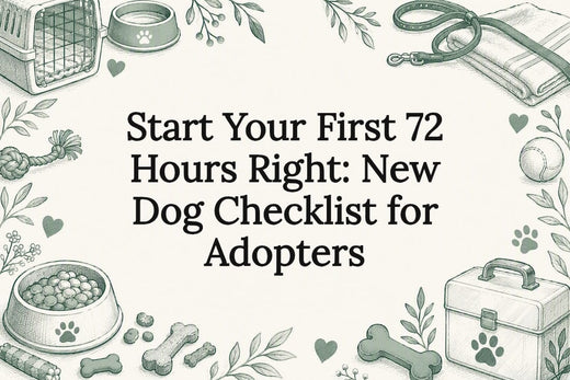 Decorative new dog checklist title card