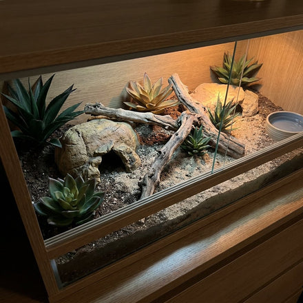 Reptile and Amphibian Terrarium Supplies & Accessories