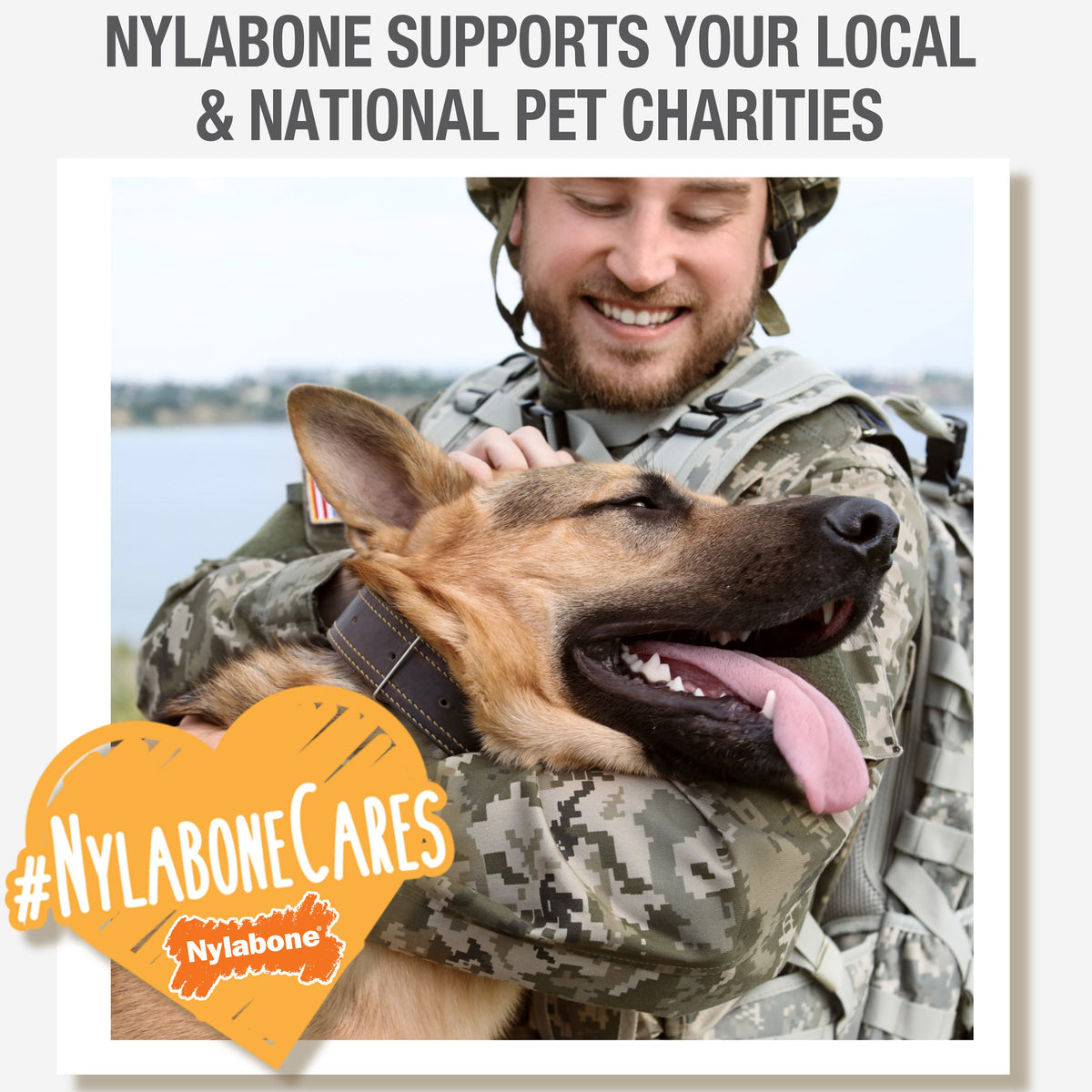 Nylabone Natural Nubz Dog Treats, AllergenFree Peanut Butter Peanut Butter, Large 30 Lbs. 15 ct