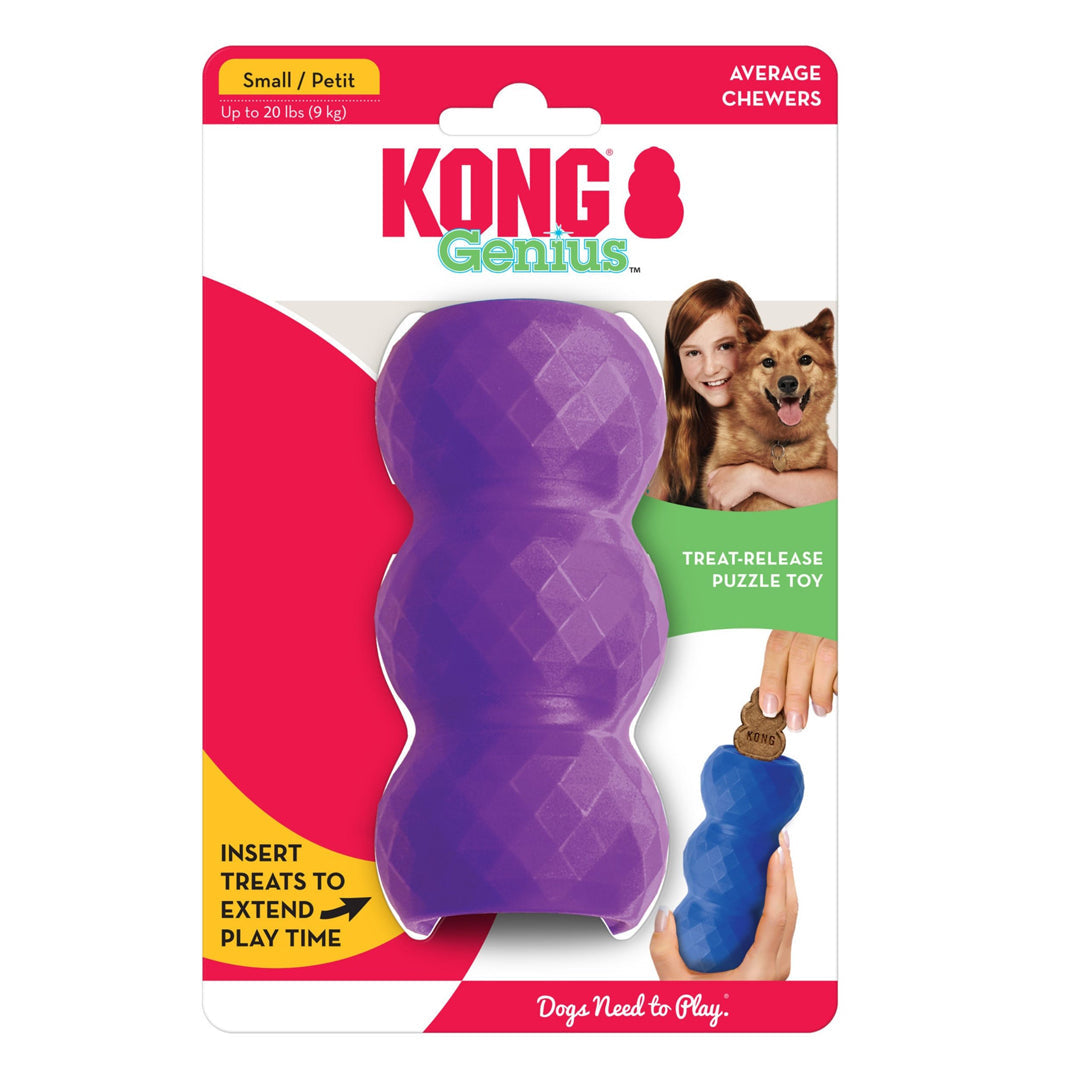 KONG Genius Mike Assorted Dog Toy Small