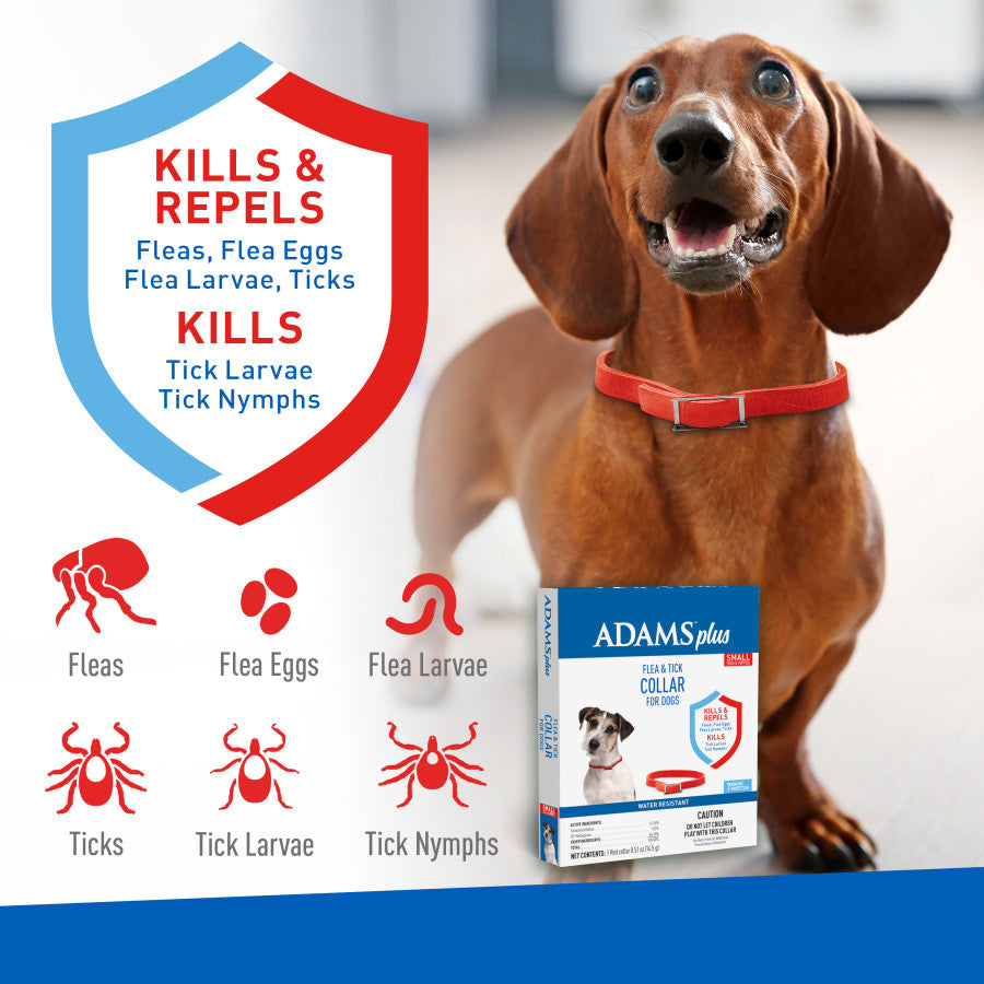 Adams Plus Flea Tick Collar for Dogs, Small 1ea/SMall