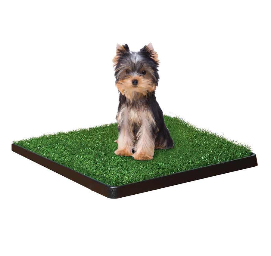 Four Paws Wee Wee Patch Indoor Potty Small