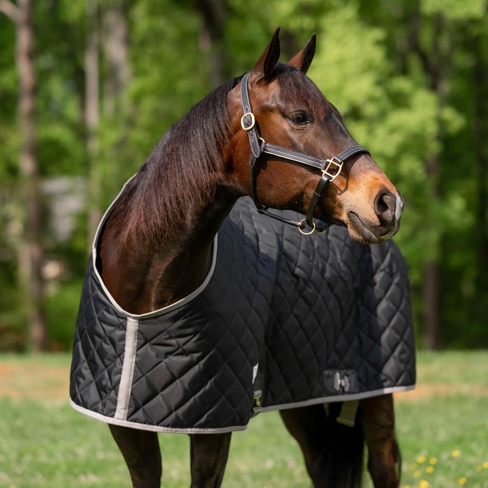 TuffRider Shelter Closed Front Medium Weight Stable Blanket