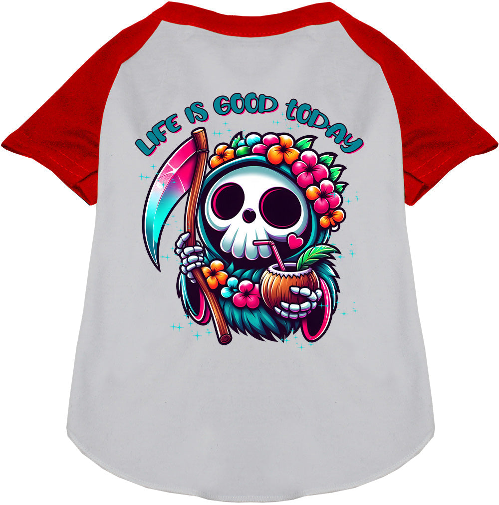 Tropical Grim Reaper Pet Raglan Shirt