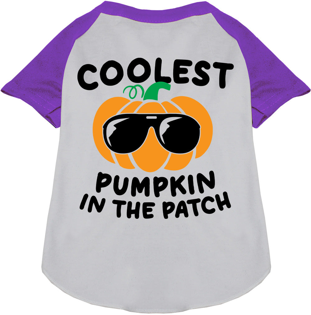 Coolest Pumpkin Pet Raglan Shirt