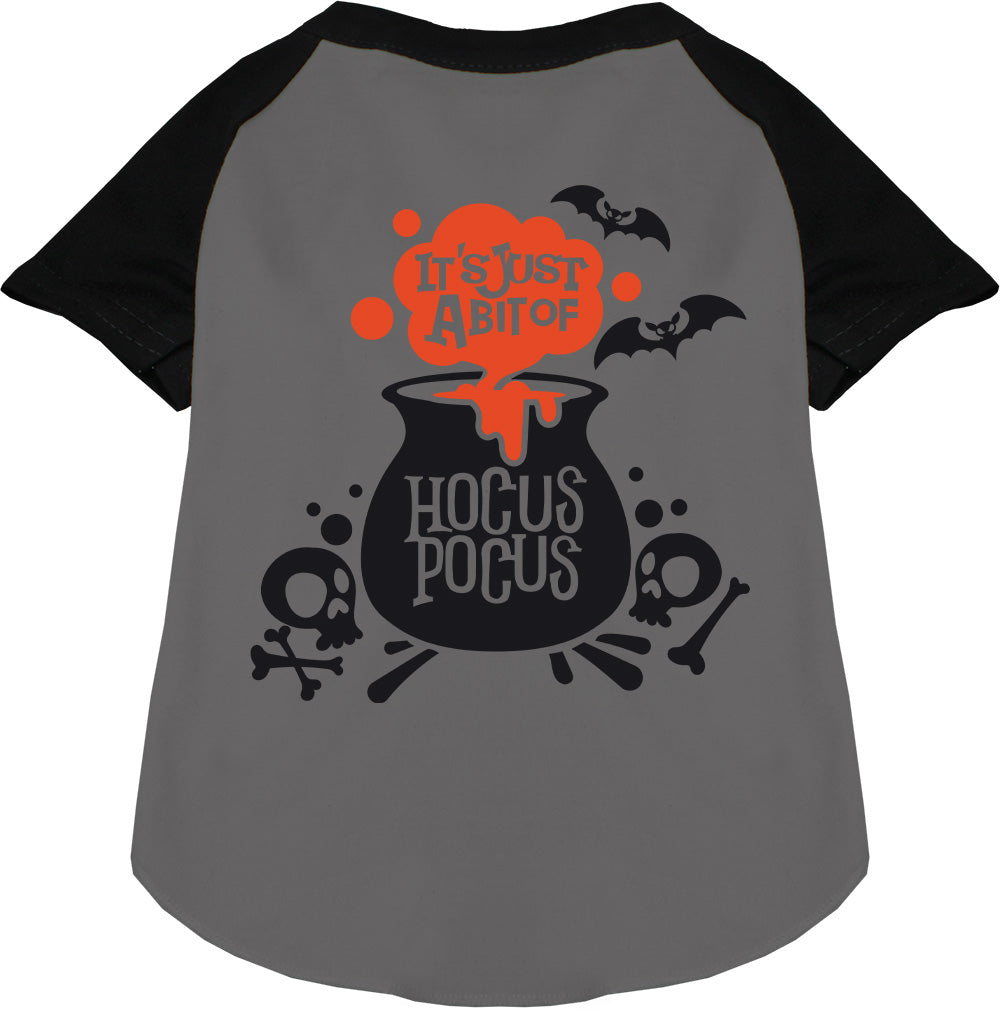 Just a Bunch of Hocus Pocus Pet Raglan Shirt