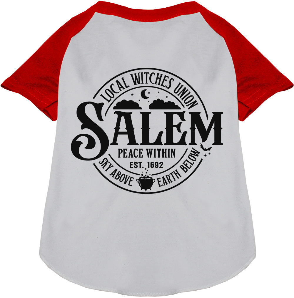 Salem Witches Union Pet Raglan Shirt