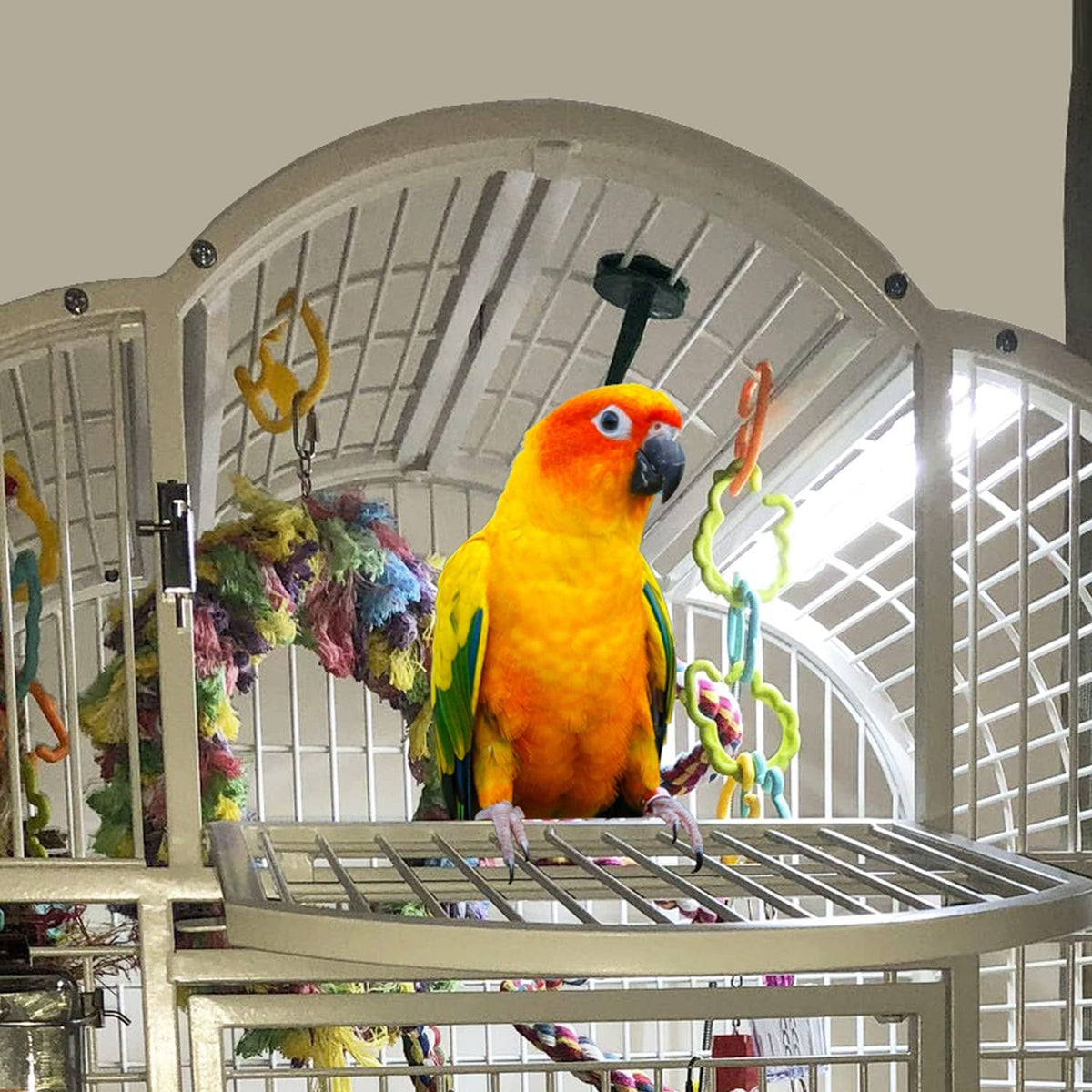 Happybird Lighting Bird Cage Light with Chew Guard