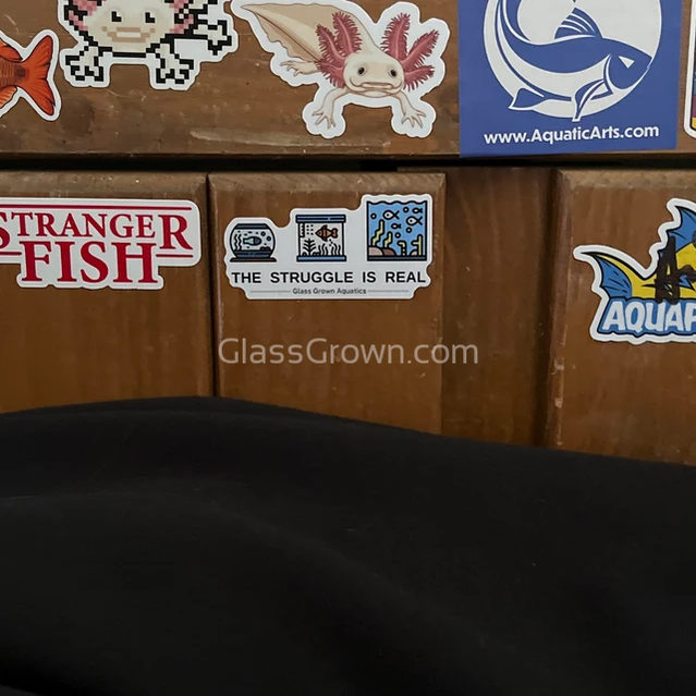 Fish Tank Struggles Decal Sticker
