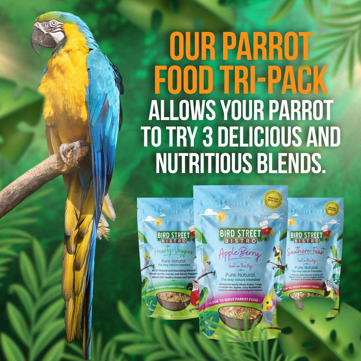 The Tri-Pack Sampler