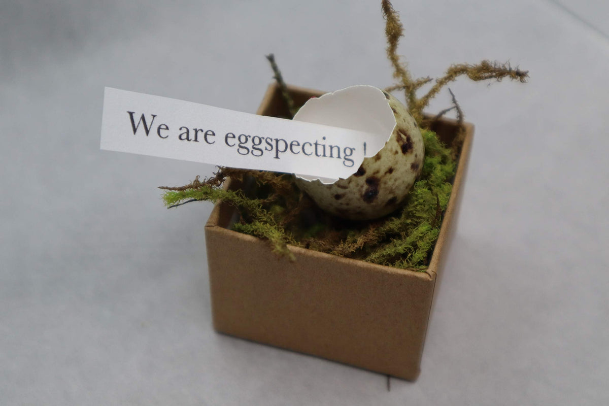 Gender Reveal Ideas: Quail Egg Pregnancy Announcement Kit for Family - Creative Baby Shower Activities & Memorable Baby's Gender Reveal comes with 3 Hollow Quail eggs, glitter, and a craft box
