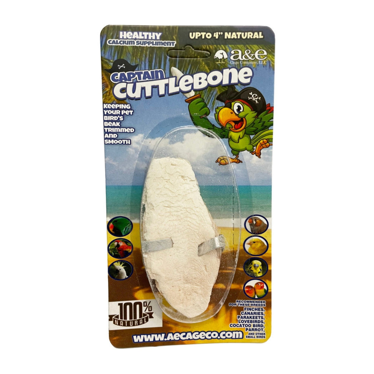 A & E Cages Natural Cuttlebone 1ea/4 in. (Pack of 3)