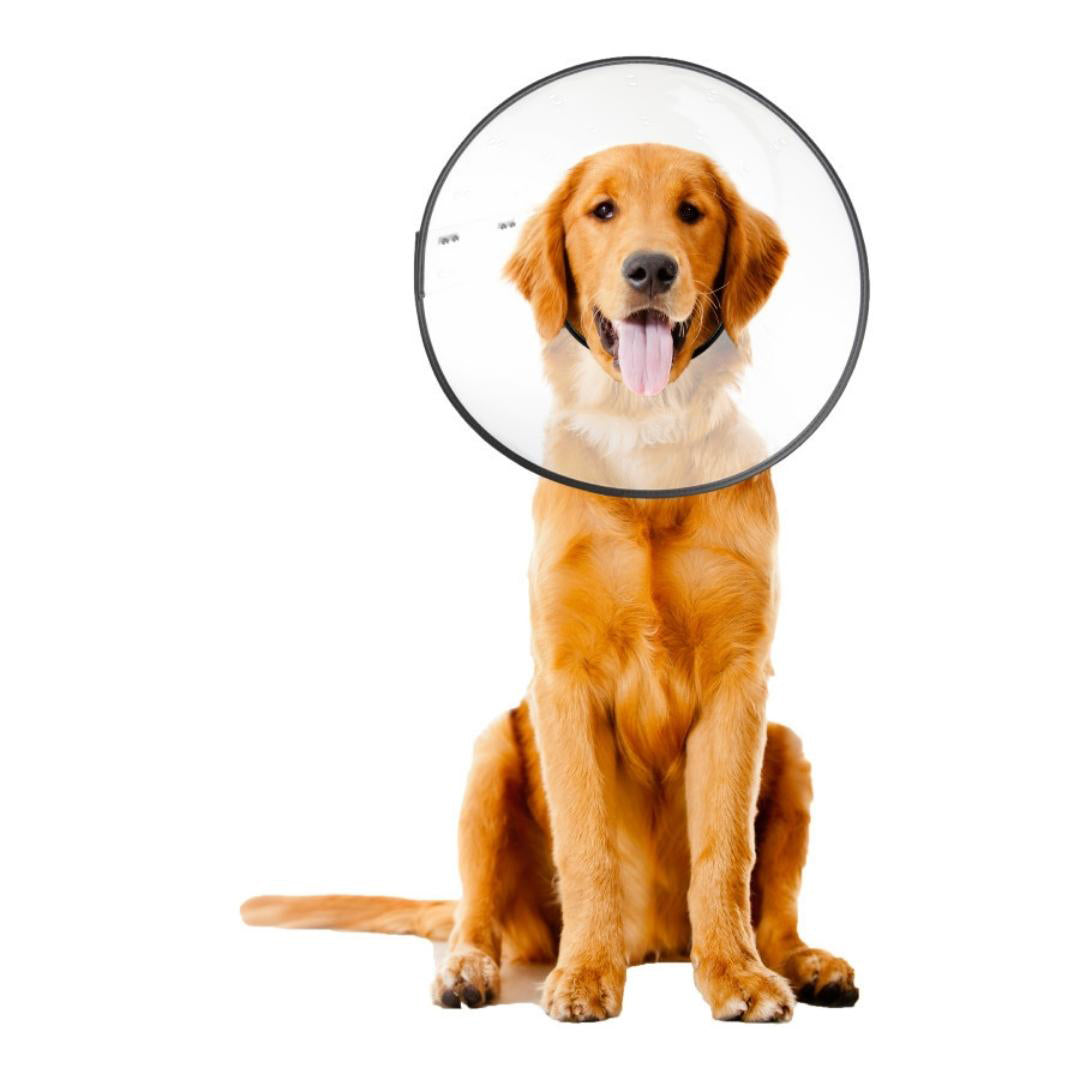 ZenPet E-Clear Plastic Recovery Collar Size Large
