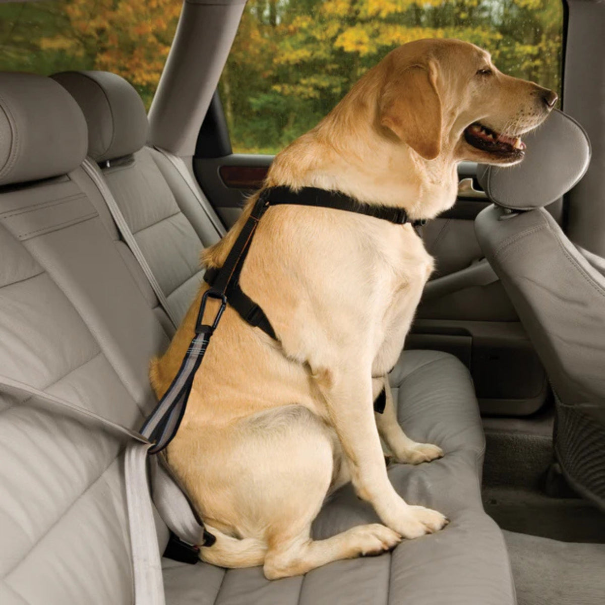 Kurgo Dog Seat Belt Tether Carabinar