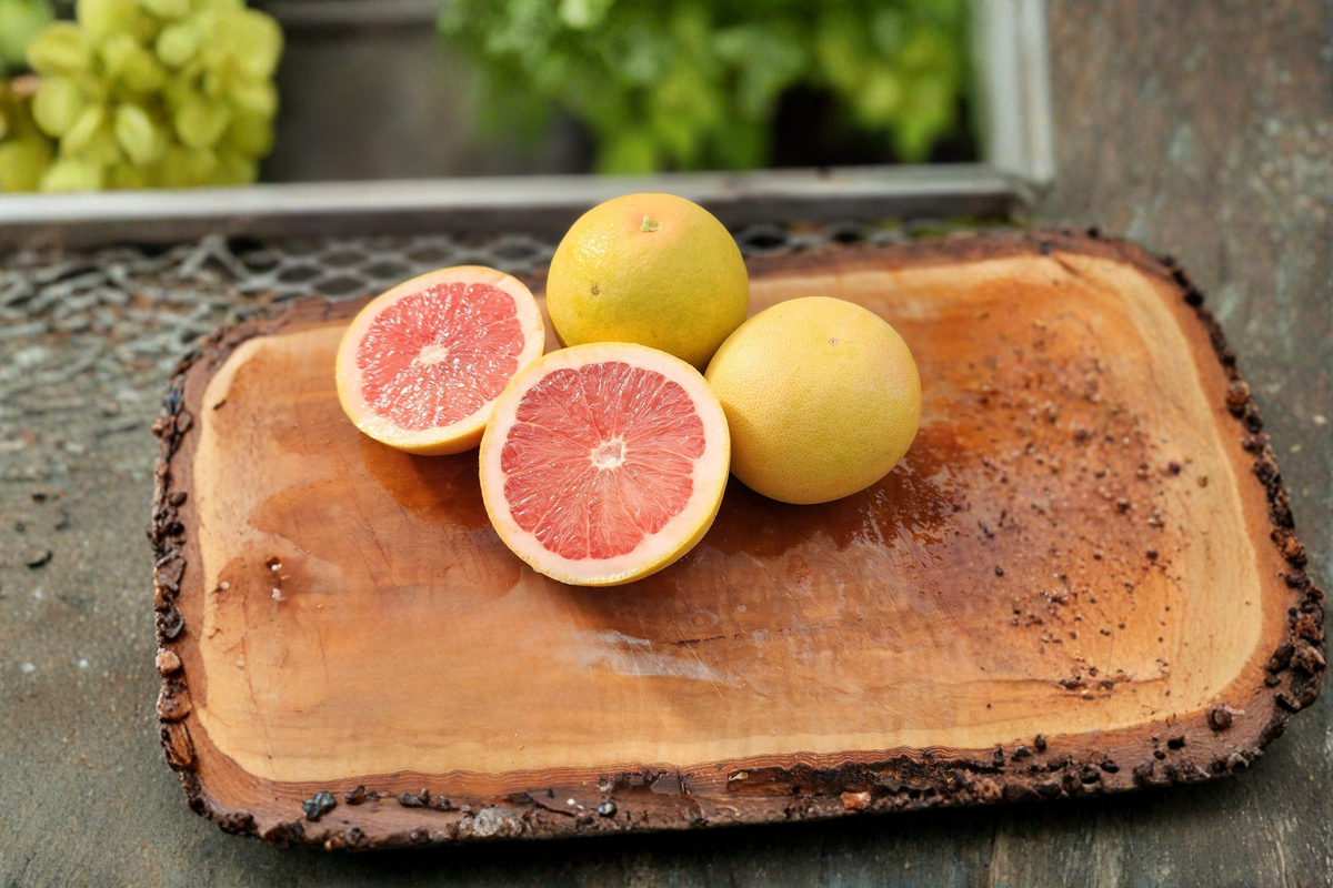 Bloomsweet Grapefruit Tree Live Plant 1 Gallon Rare Citrus Tree Yellow Grapefruit Fruit Tree Fragrant Blooms
