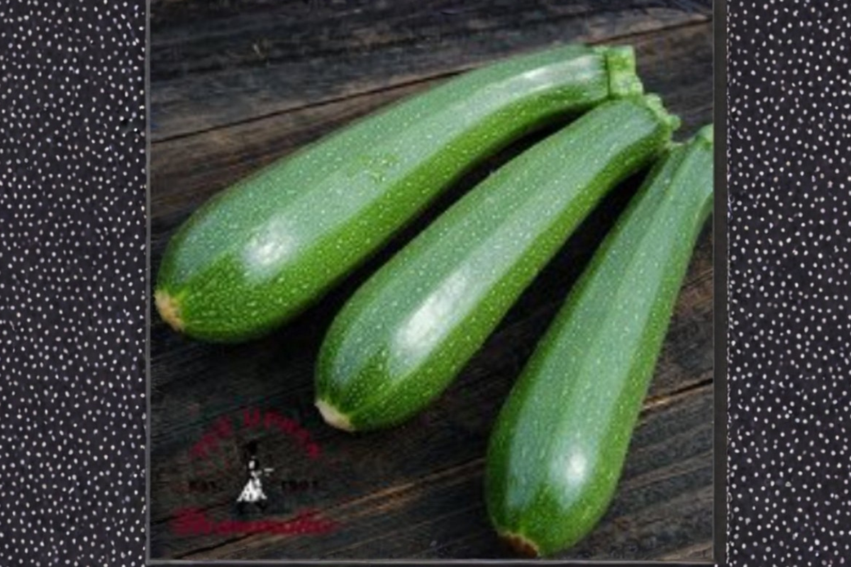Dwarf Zucchini Seeds 20 Pack, Compact Summer Squash, Cucurbita pepo, Container-Friendly Vegetable Plant