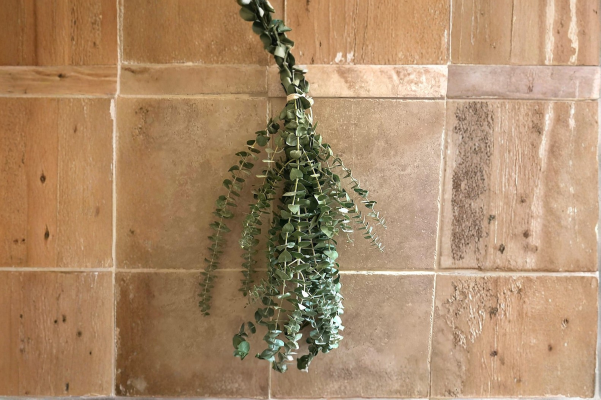 Fresh Eucalyptus Shower Bundle Hanging Greenery Bathroom Decor Natural Fragrant Plant Bundle