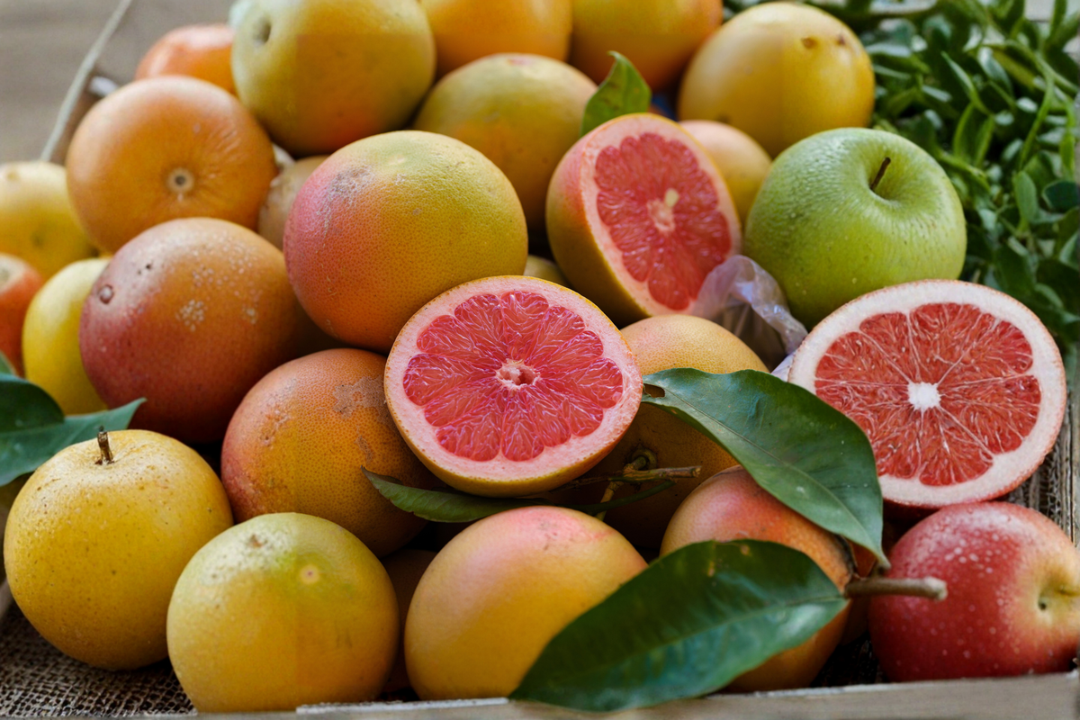 Ruby Red Grapefruit Tree Live Citrus Plant 3-4 Ft Tall in 4x4x14 Pot Fruit Tree No Ship to CA