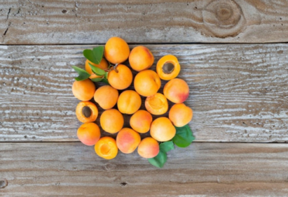 Royal Apricot Scion Wood Cuttings – 5 Live Grafting Prunus armeniaca Fruit Tree Propagation