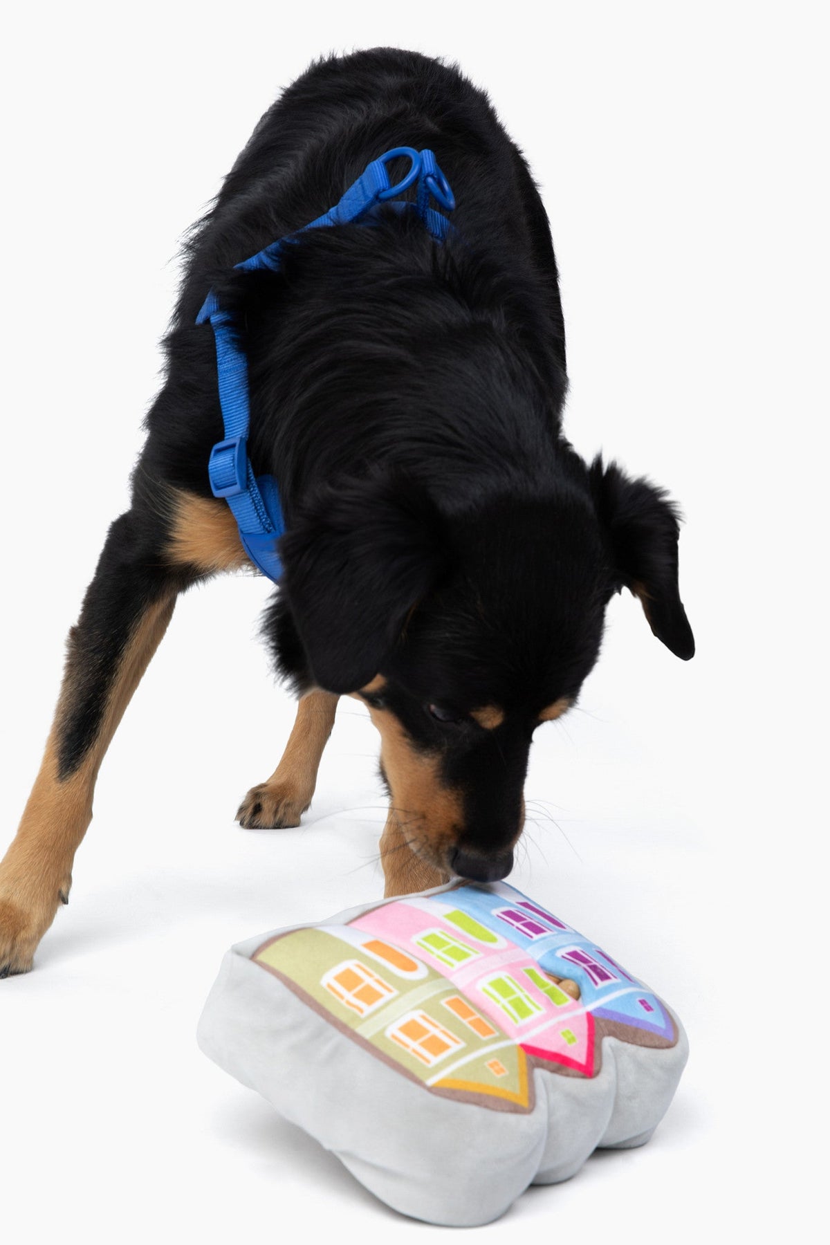 Painted Ladies Nose Work Dog Toy