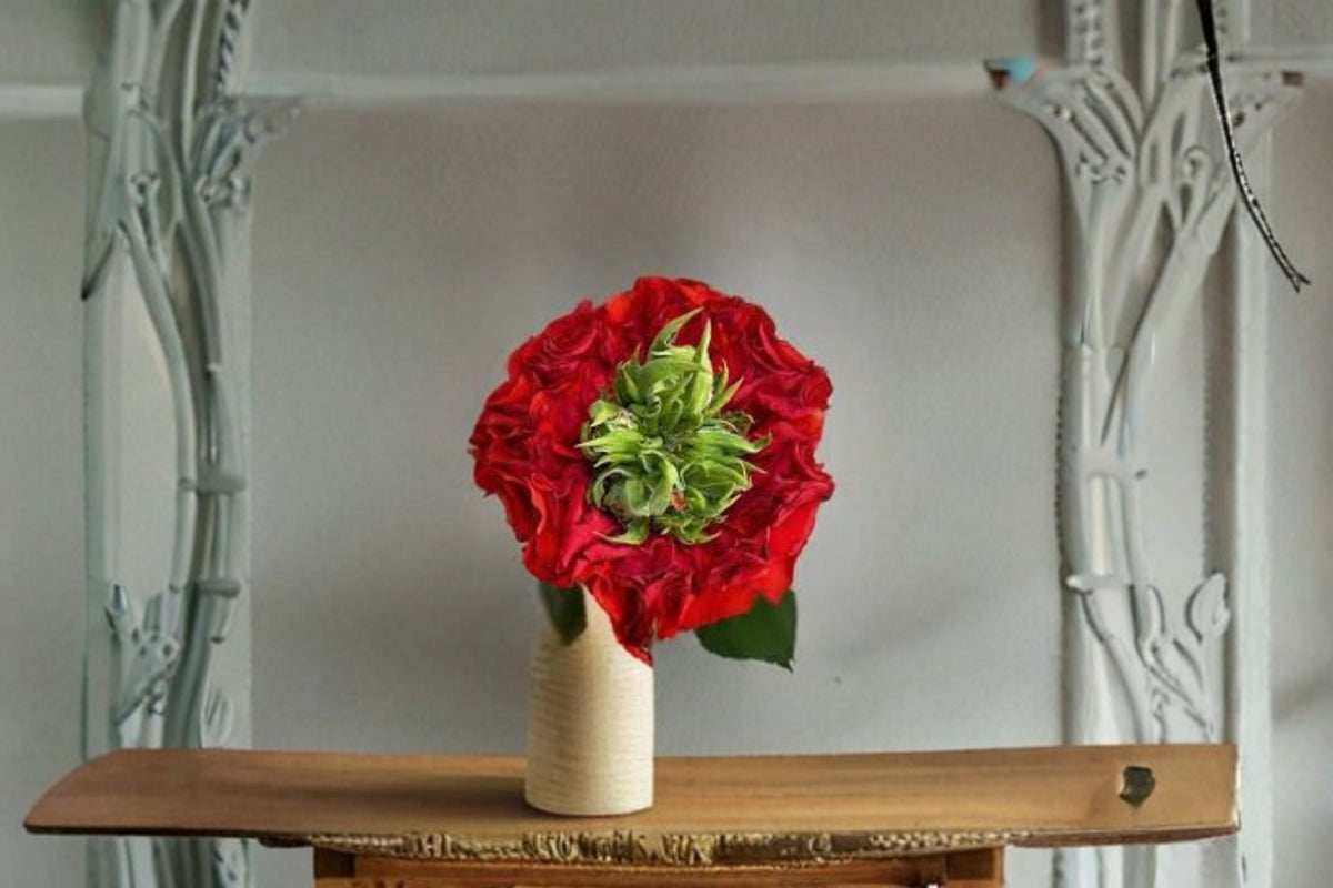 Red Eye Rose Live Plant – Repeat Blooming Shrub Cut Rose
