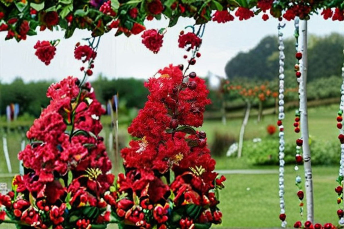 Red Rocket Crape Myrtle Live Plant – Ruby Red Flowering Tree for Landscape