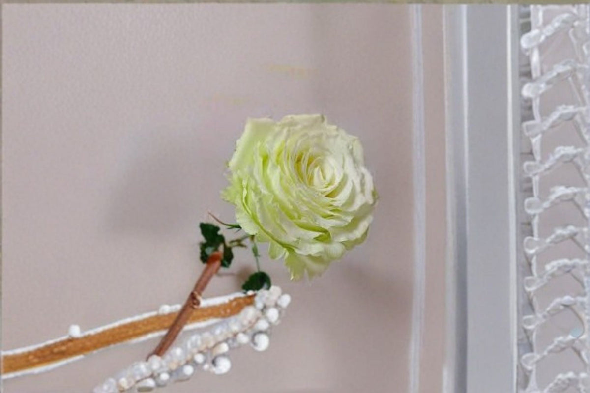 Moonstone Rose Live Plant – Light Green Repeat Blooming Own Root Rose
