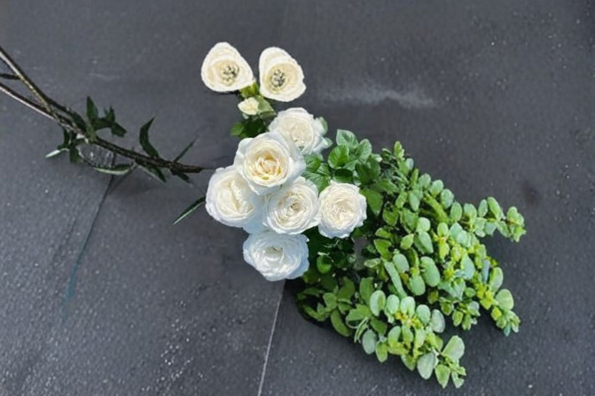 Roads of Wedding Rose Live Plant – Fragrant White Cut Rose