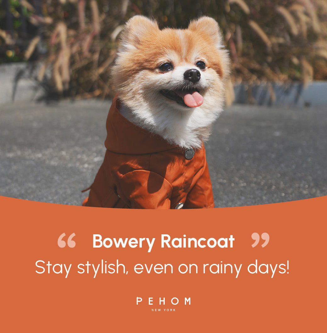 BOWERY RAINCOAT - ORANGE