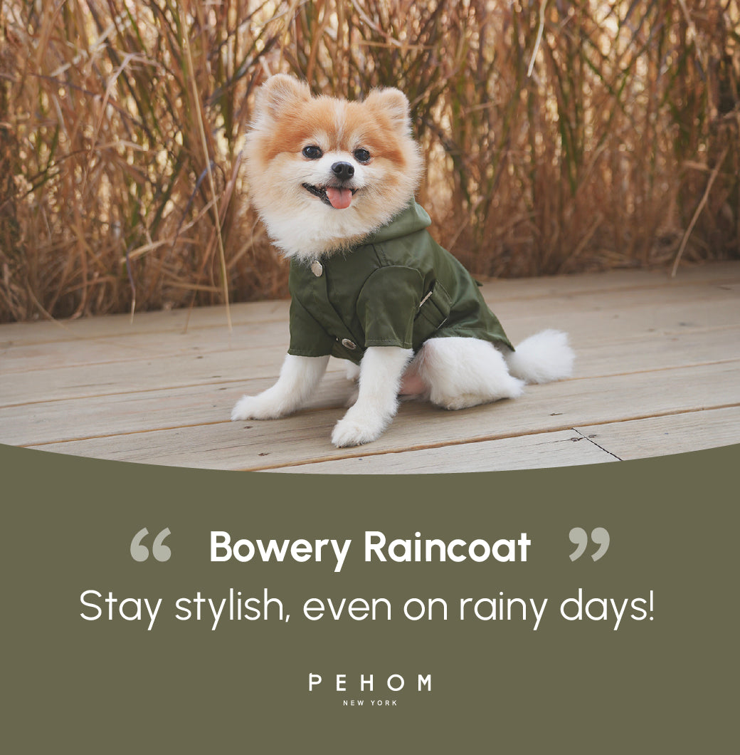 BOWERY RAINCOAT - GREEN