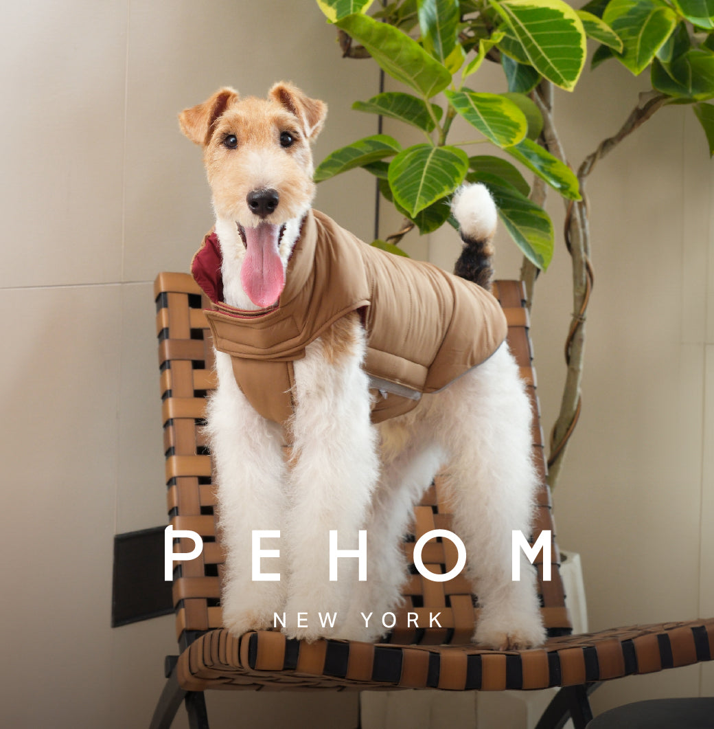 Reversible Dog Vest Jacket - Red Brown