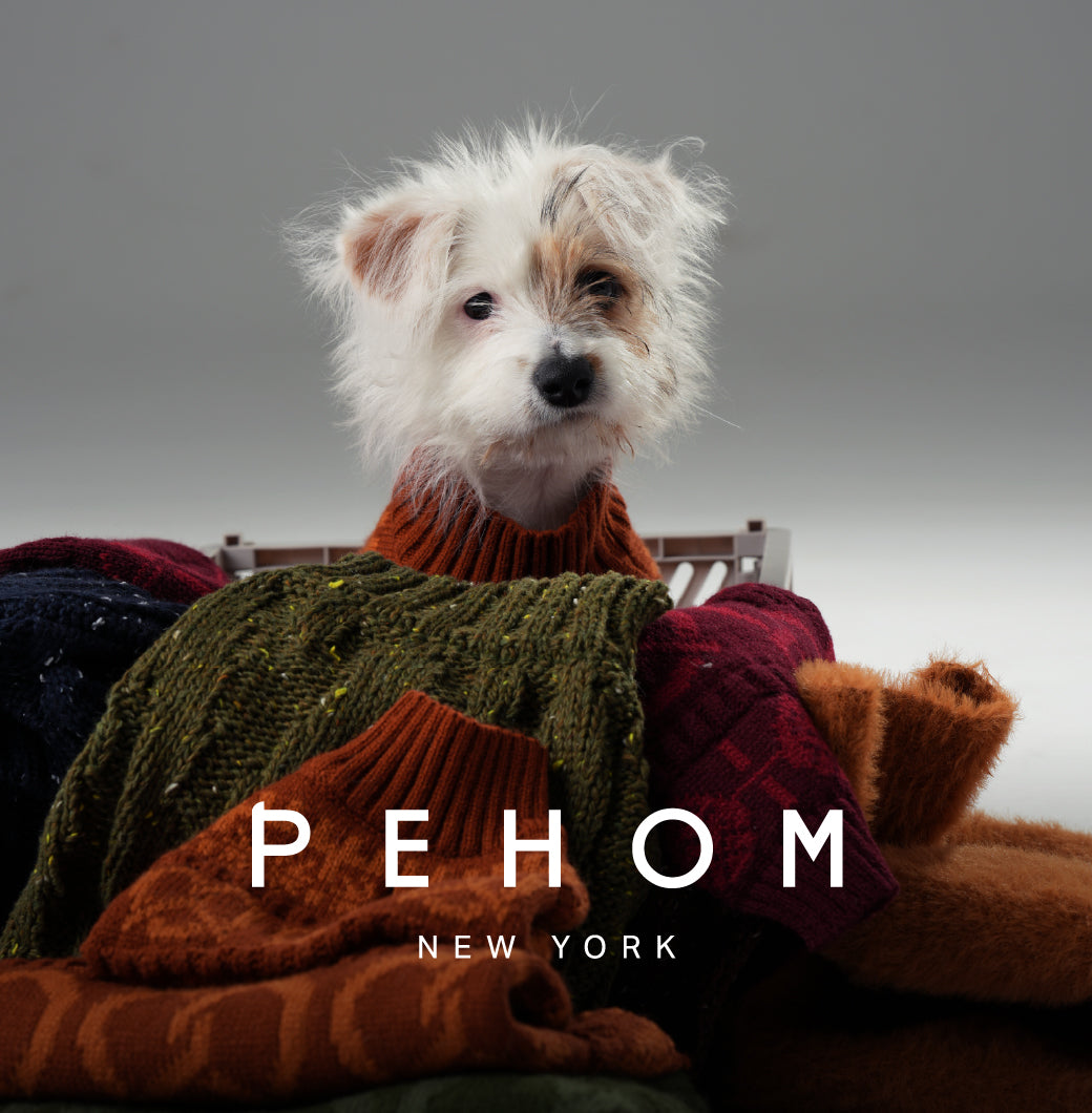 Pretzel Pet Sweater - Toffee Orange