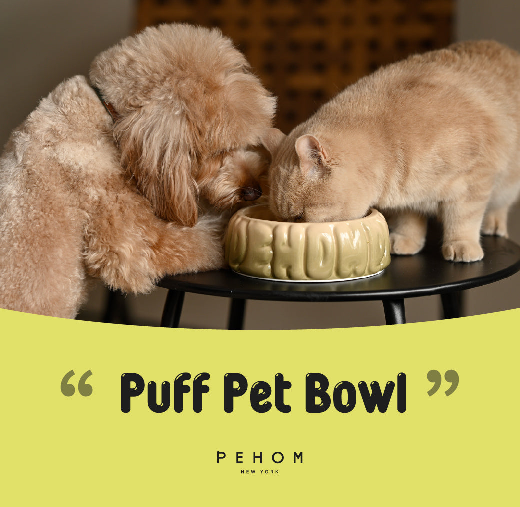Puff Pet Bowl - Gradient Olive