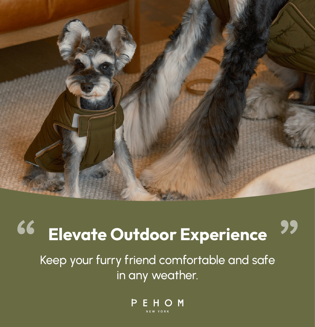Reversible Dog Vest Jacket - Green Brown