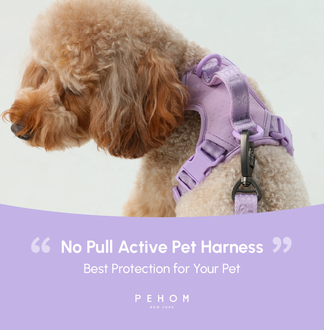 NO PULL ACTIVE PET HARNESS - MINT PURPLE