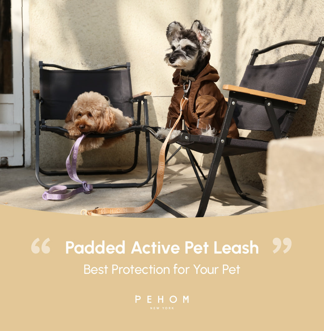 PADDED ACTIVE PET LEASH - APRICOT