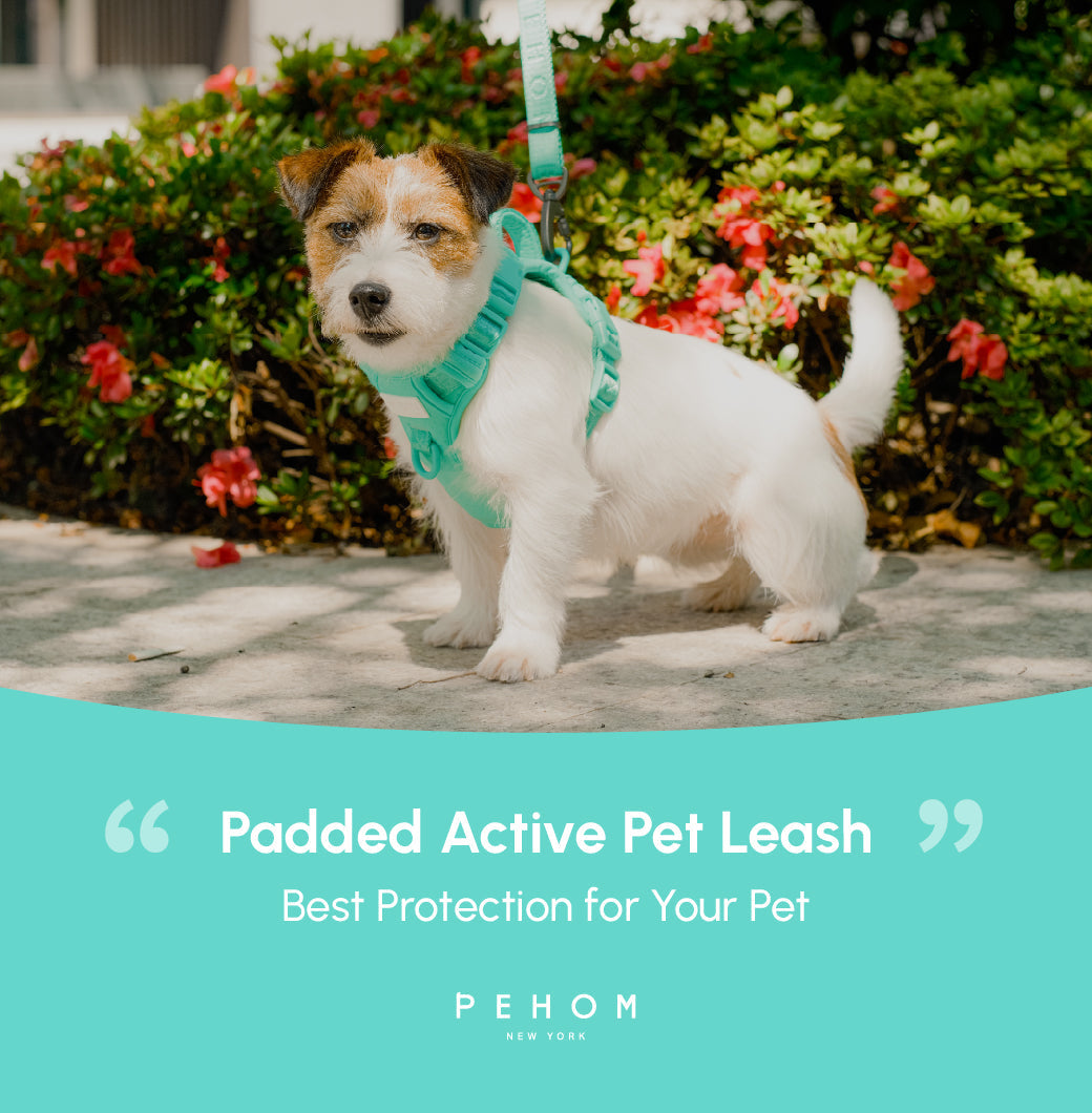 PADDED ACTIVE PET LEASH - MINT GREEN