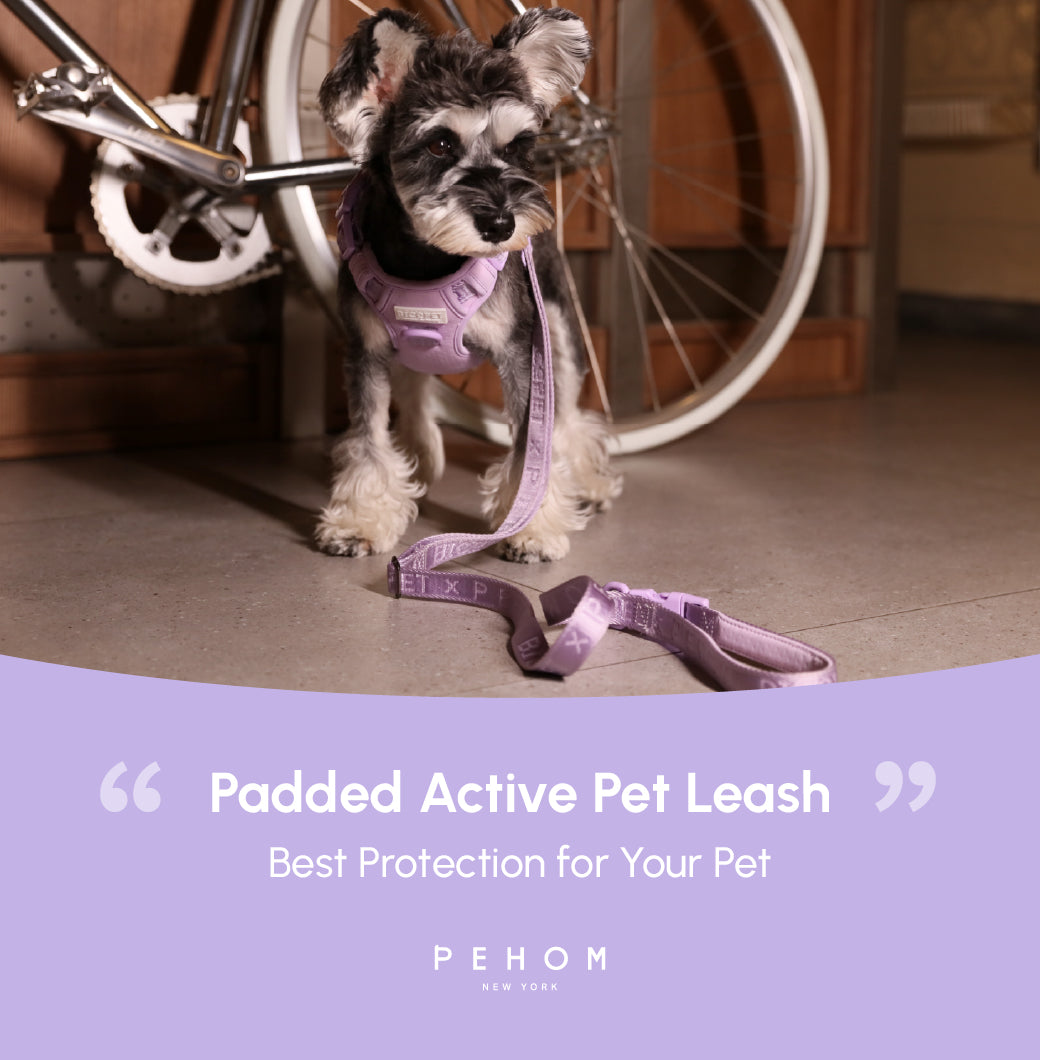 PADDED ACTIVE PET LEASH - MINT PURPLE