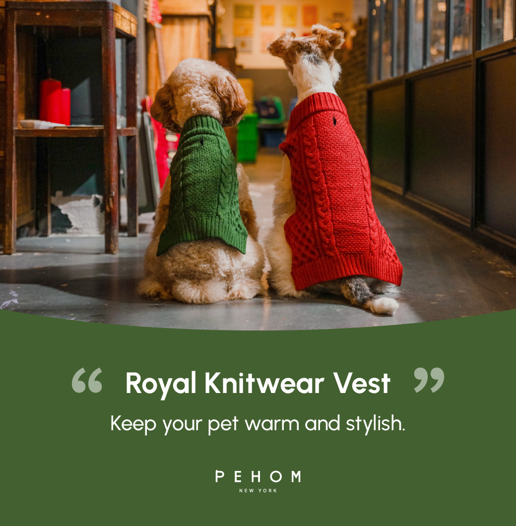 Pet Sweater Vest - Green