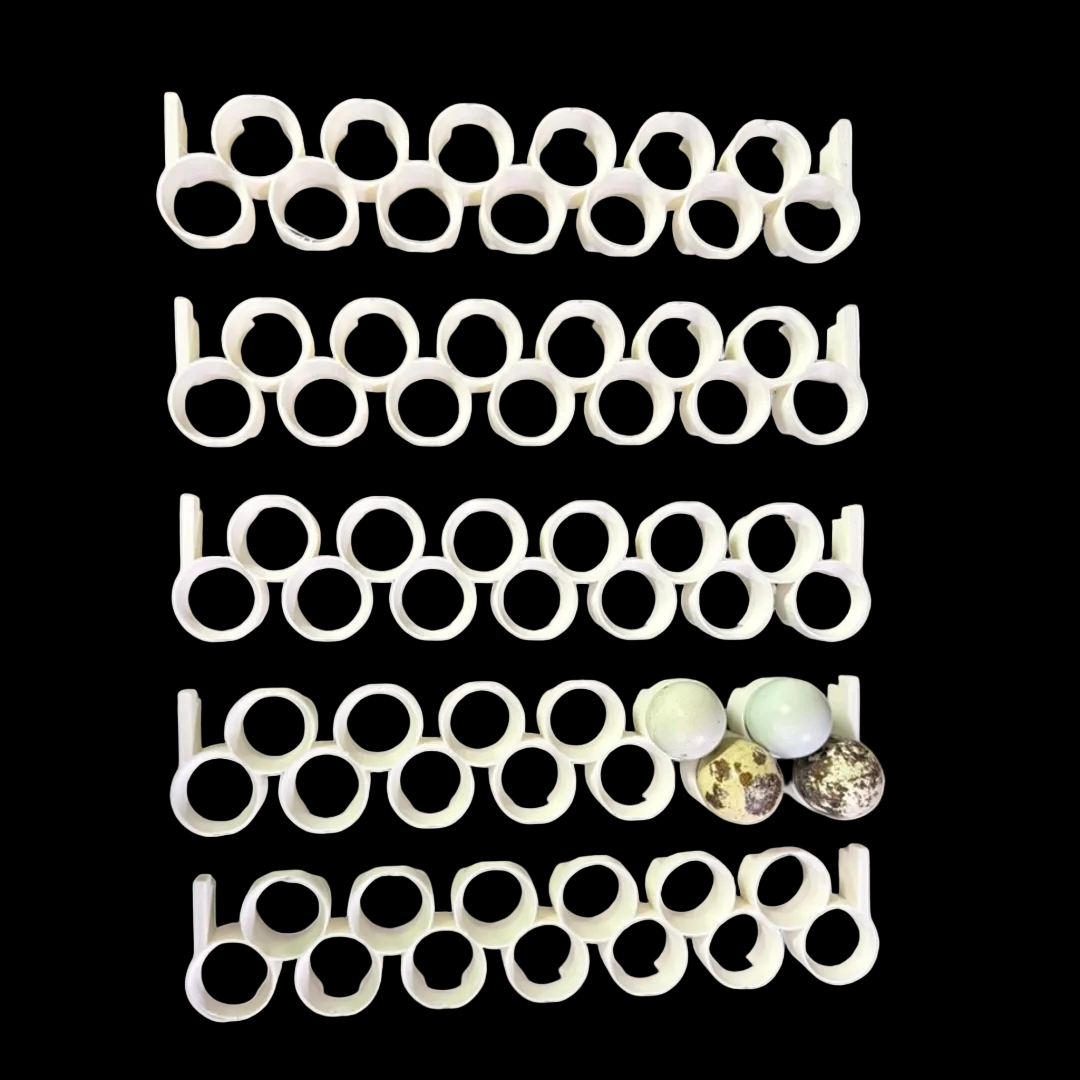 Jumbo Quail Egg Rails for Cimuka / Hatching Time CT60 – Full Set (12 Rails)