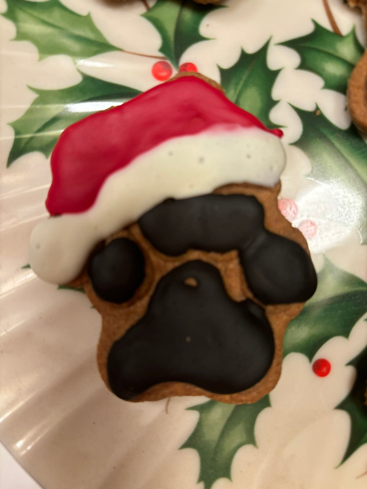 Santa Paws Organic Dog Treats