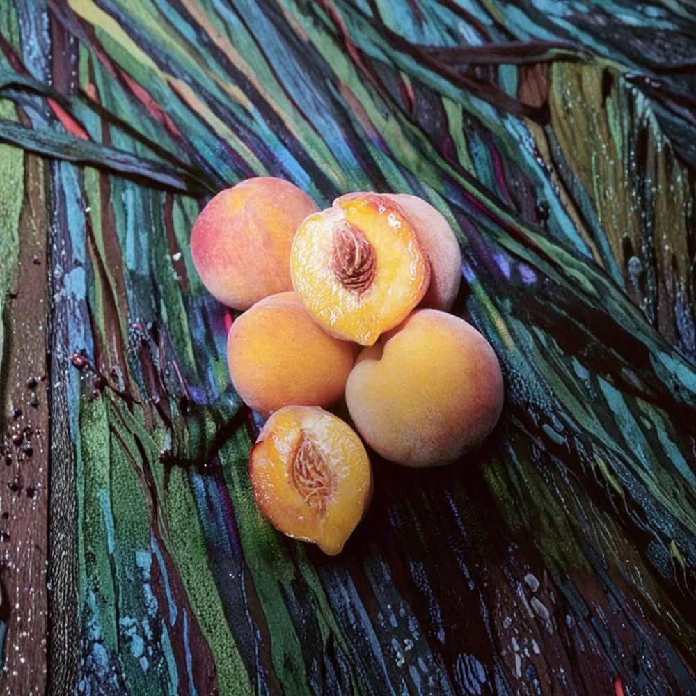 Reliance Peach Tree – Cold Hardy Freestone Peach for Zones 4–8 | Grafted Live Fruit Tree