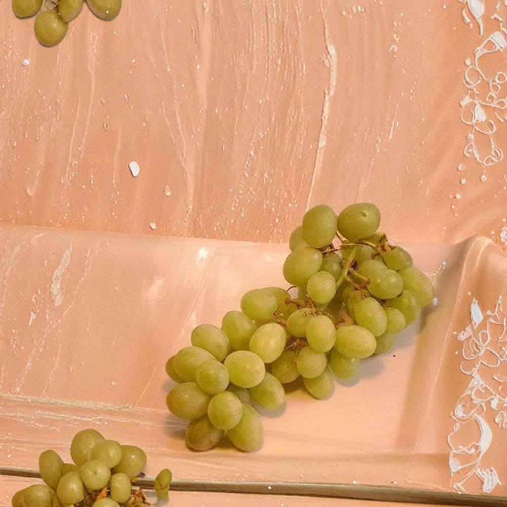 Chardonnay White Wine Grape Vine – Vitis vinifera Live Plant | 3 Gallon Self-Fertile Premium White Wine Variety