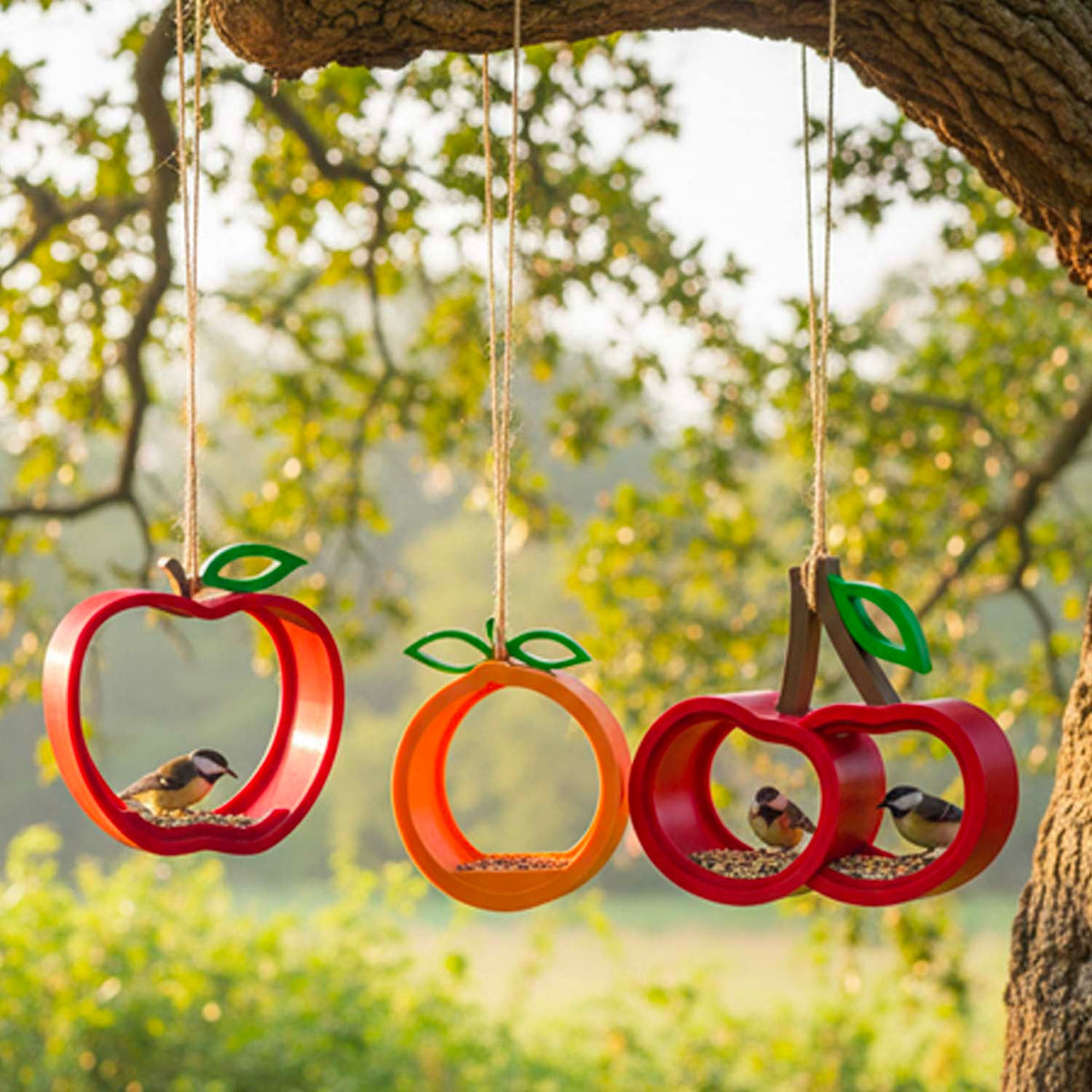 ADG42 Fruit Collection Hanging Bird Feeders