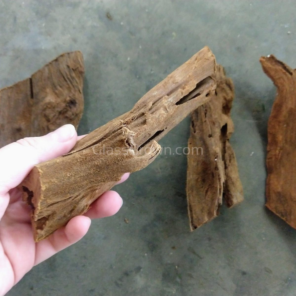 Malaysian Driftwood Small (5-7")