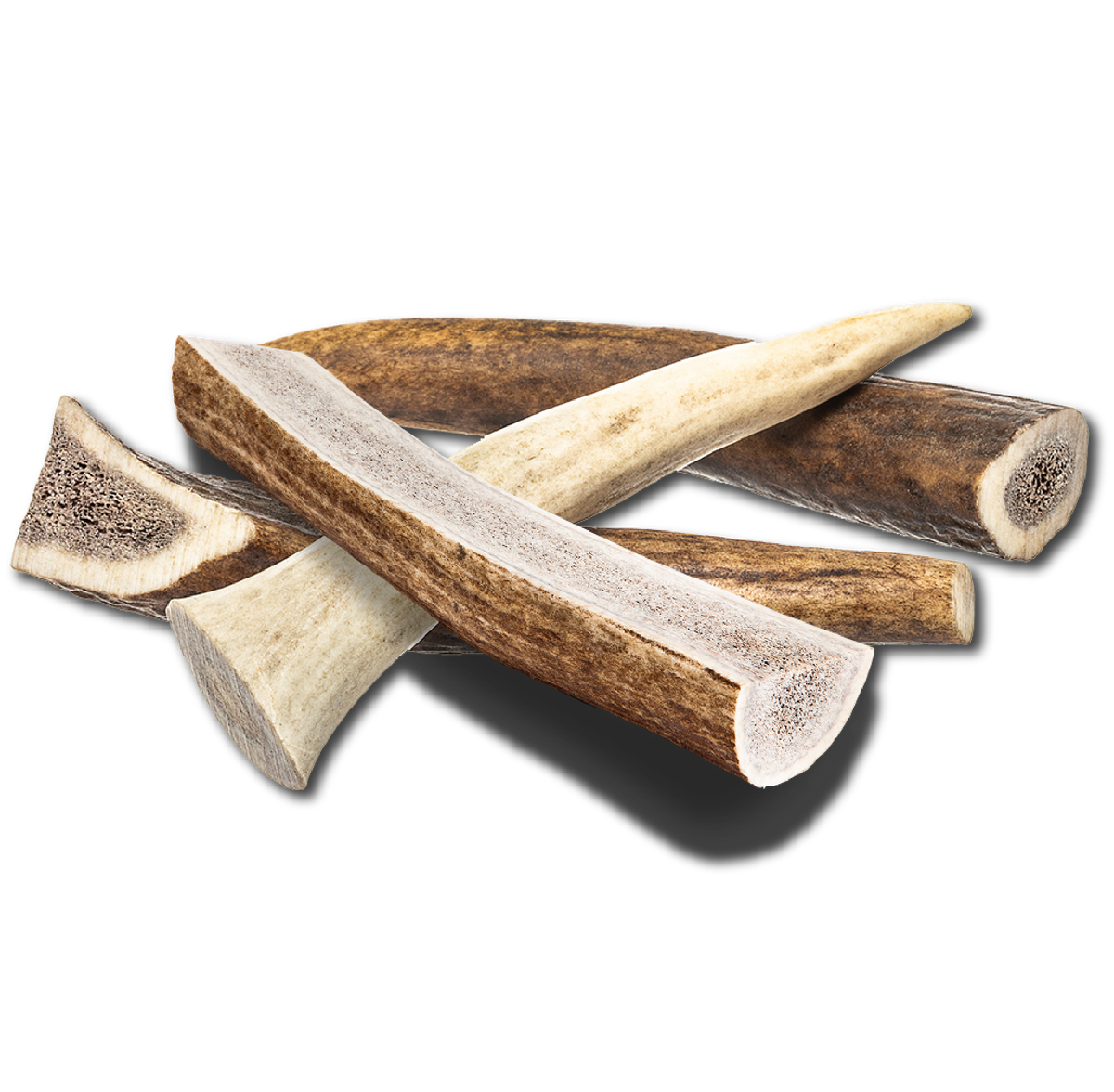 Small Elk Chew