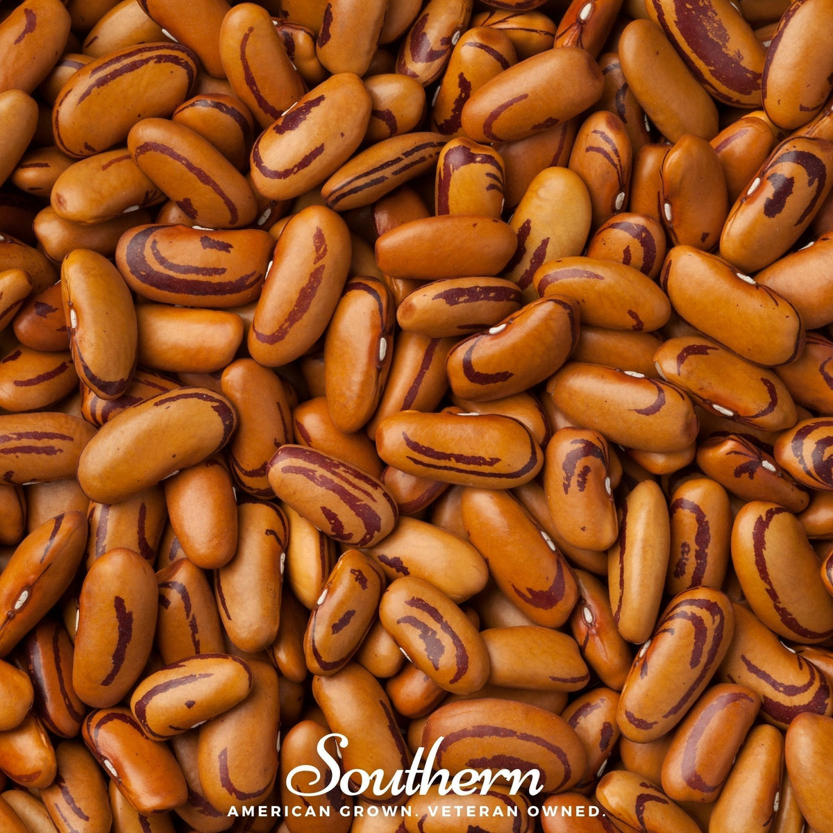 Tiger's Eye Bush Bean Seeds – Heirloom, Non-GMO, Open Pollinated, Golden-Orange with Maroon Streaks, USDA Zone 3-10