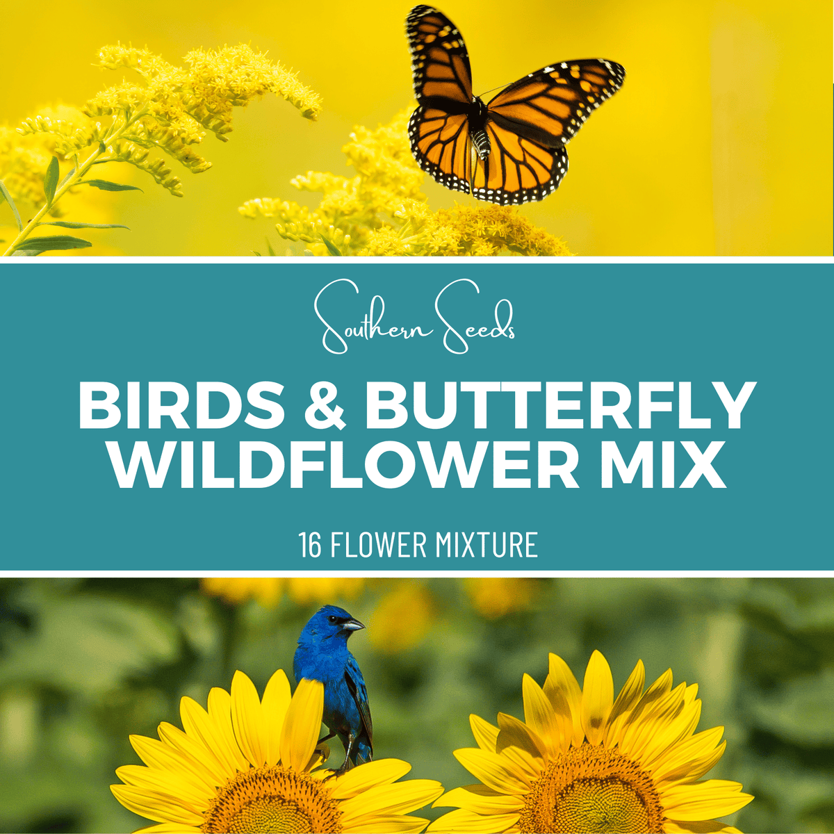 Birds & Butterfly Wildflower Seed Mix 1,000 Seeds – Attracting Birds, Bees & Butterflies, Native, Annual & Perennial, Eco-Friendly
