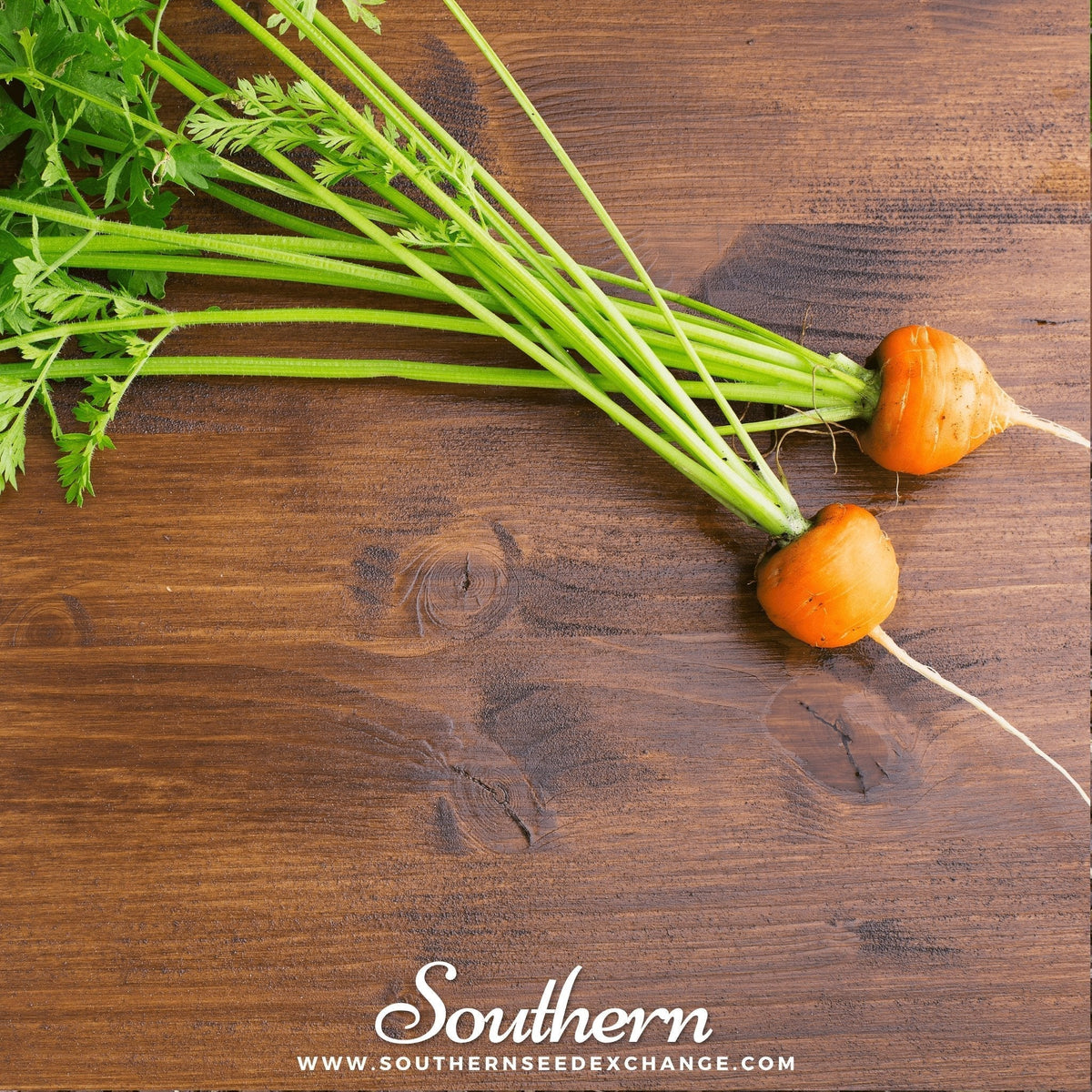 Parisian Carrot Seeds – Heirloom, Round, Golf-Ball Size, Daucus carota, Perfect for Containers & Heavy Soil